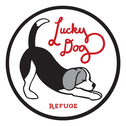 Lucky Dog Refuge Inc